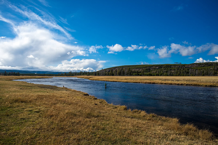 Fly Fishing Yellowstone