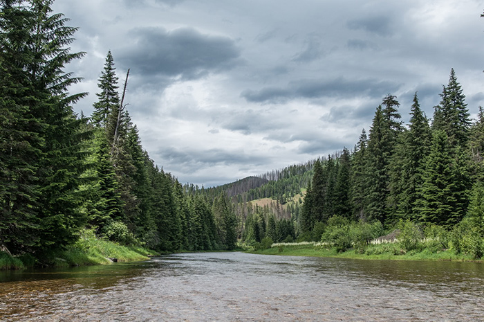 North Fork Coeur d'alene River