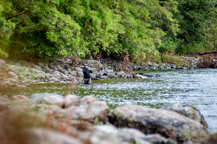 Spokane River Fly Fishing