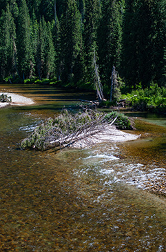 NF Clearwater Idaho