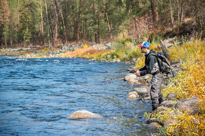 Sage Igniter Fly Rod