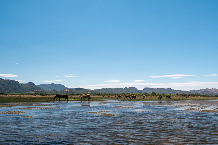 Las Pampas, Argentina.