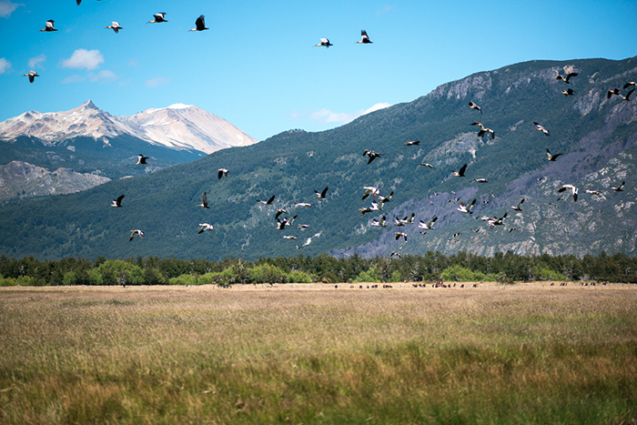 Las Pampas, Argentina.