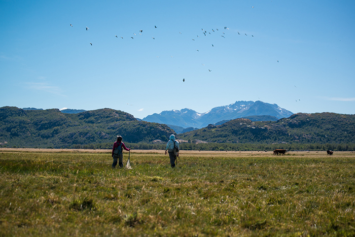 Las Pampas, Argentina.