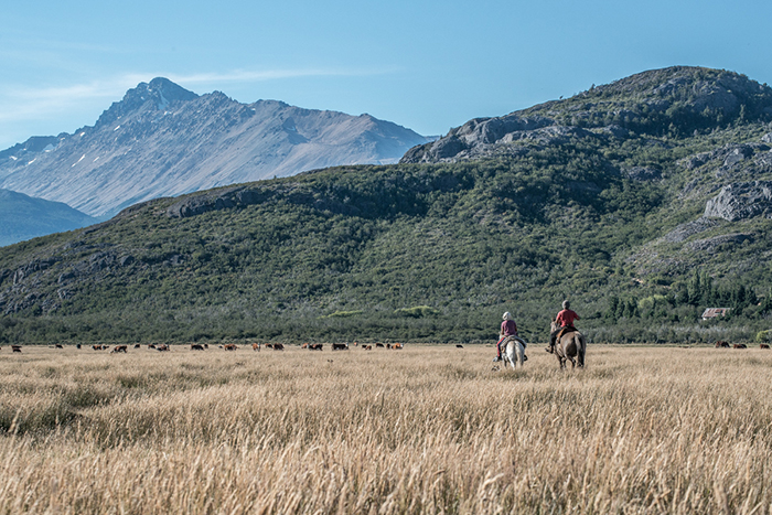 Las Pampas, Argentina.