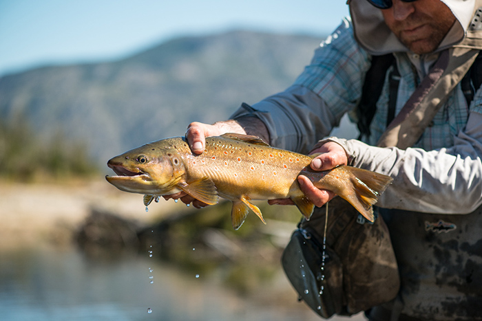 Patagonia Dry Fly Fishing