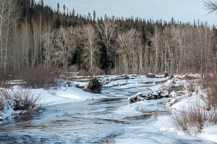 2019 Coeur d'Alene River