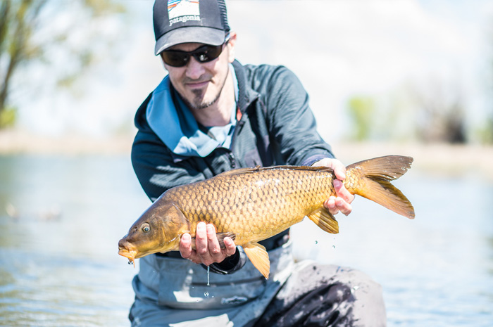 Mike Visintaine with a nice Washington carp on fly.