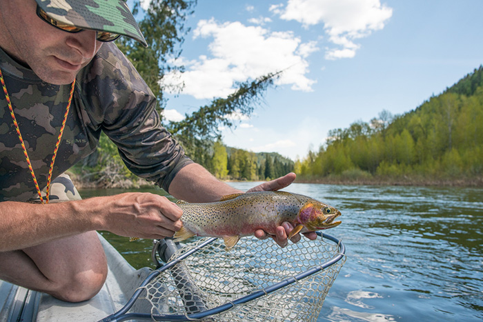 Taylor McCroskey holds a fine cutthroat on the NF Coeur d'Alene River in Idaho caught on a stonefly dry.