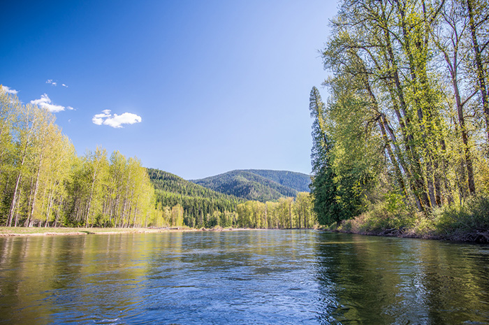North Fork of the Coeur d'Alene is a premier dry fly fishery in North Idaho for Westslope cutthroat trout.