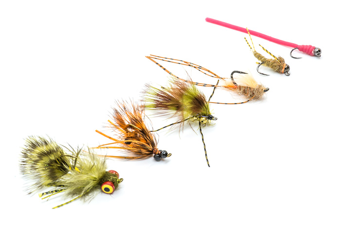 Six carp fly patterns for fly fishing for carp.