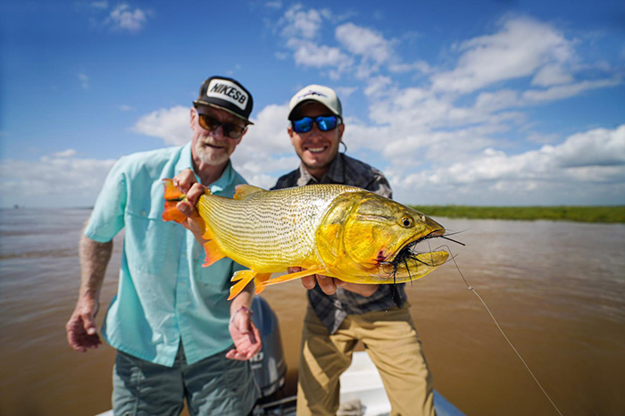 A large golden dorado from Buenos Aires with Urban Dorado Anglers.