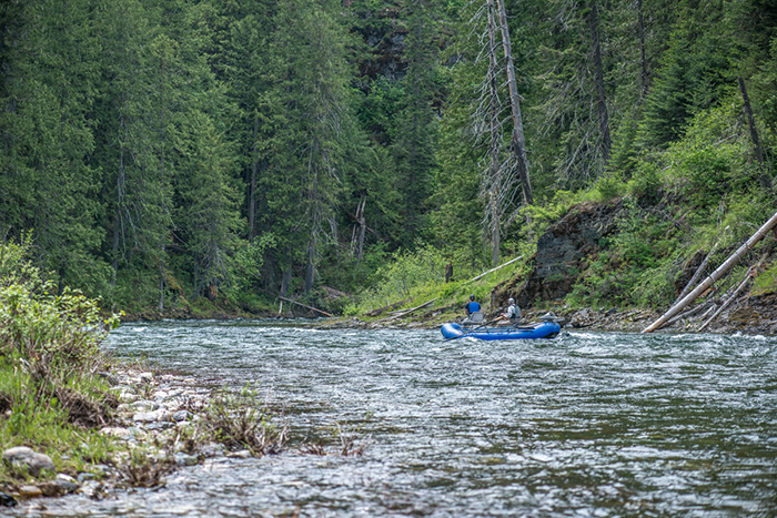 Fishing the St. Joe River in Idaho for cutthroat trout.