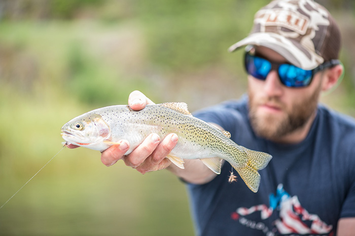 A typical St. Joe River cutthroat that can be found on guided trips with Idaho fly fishing guide Greg Gatti.