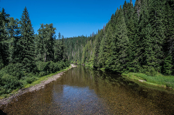 North Fork Coeur d'Alene River late summer flows mean skinny water and spooky cutthroat trout.