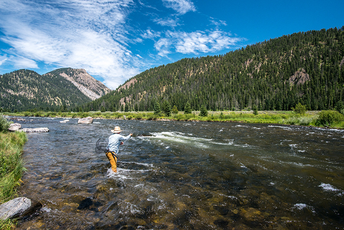 Euro nymphing the Madison River in Montana by Beaver Creek Campground.