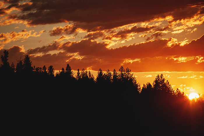 Montana Sunset