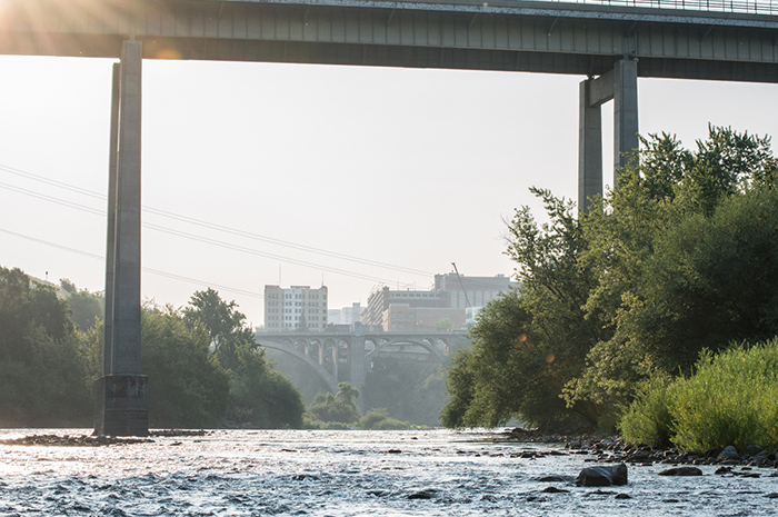 The Spokane River is a unique, wild urban trout fishery home to native Redband trout, bass, cutthroat, browns, and whitefish.