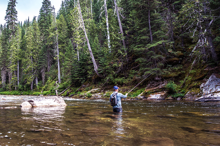 Fly fishing for bull trout in North Idaho.