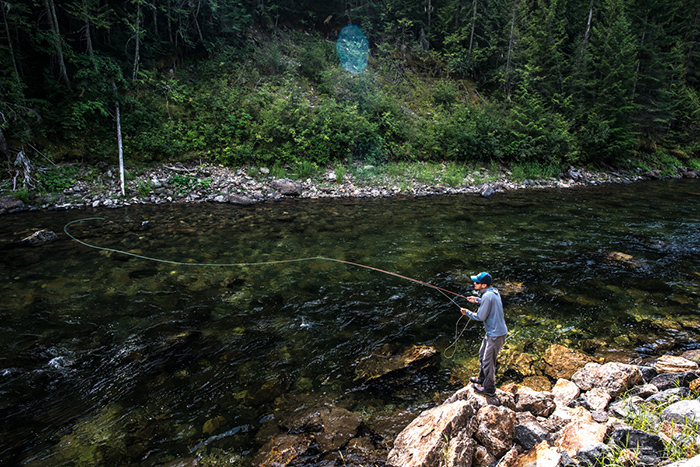 Fly casting on the St. Joe River near Avery, Idaho.