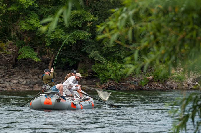 Spokane fly fishing guide Bjorn Ostby scoops up a Redband trout for anglers on the Spokane River.