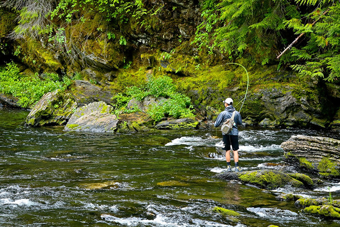 Hooked up in north Idaho while fly fishing the St. Joe River. Jon Covich Photo.