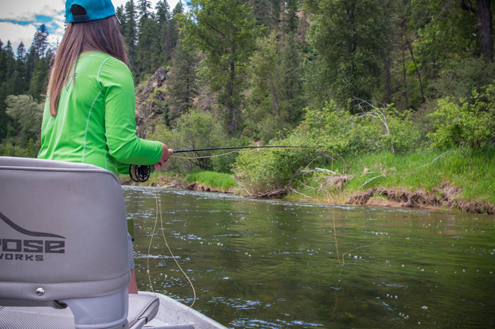 Jennifer Nepean drifting a dry fly along the banks of the St. Joe River, Idaho. 