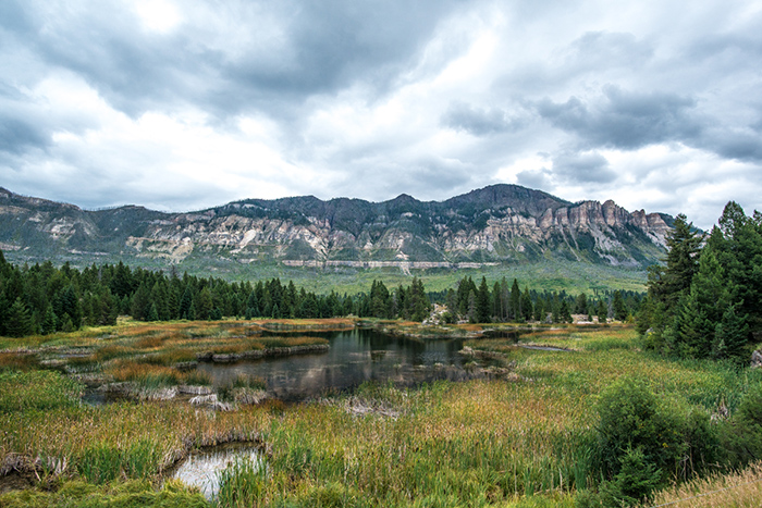 A scenic view from the Chief Joseph Highway in Wyoming. 