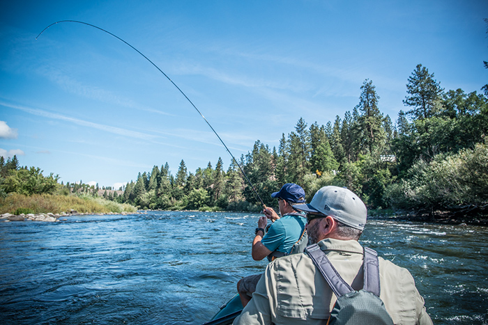 Mark Russell hooked up to a Redband trout on the Spokane River.