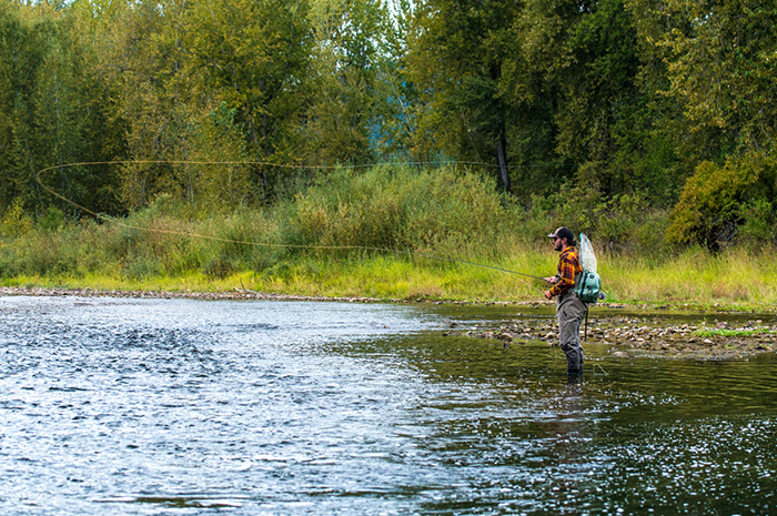 Kenyon Pitts casting to risers on the North Fork Coeur d'Alene River.