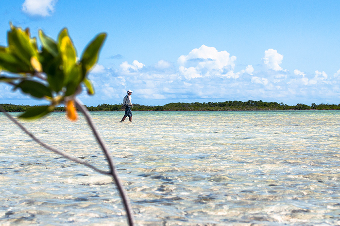 Flats fishing on Long Island Bahamas for bonefish.