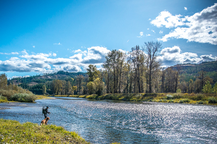 Mike Visintainer streamer fishing on the St. Joe River near Calder, Idaho.