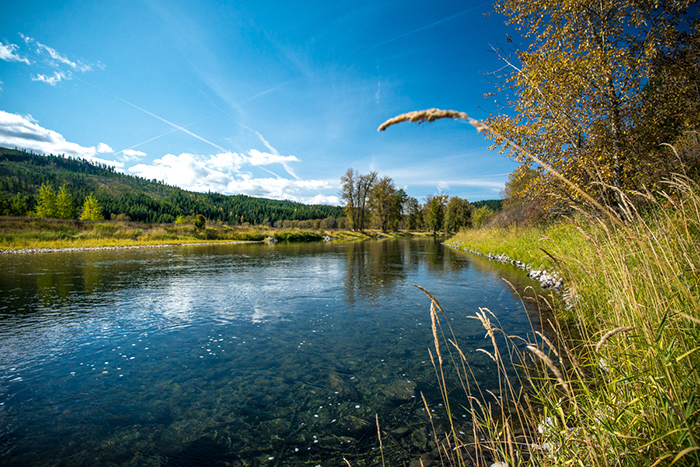 Calm currents on the St. Joe River, Idaho.