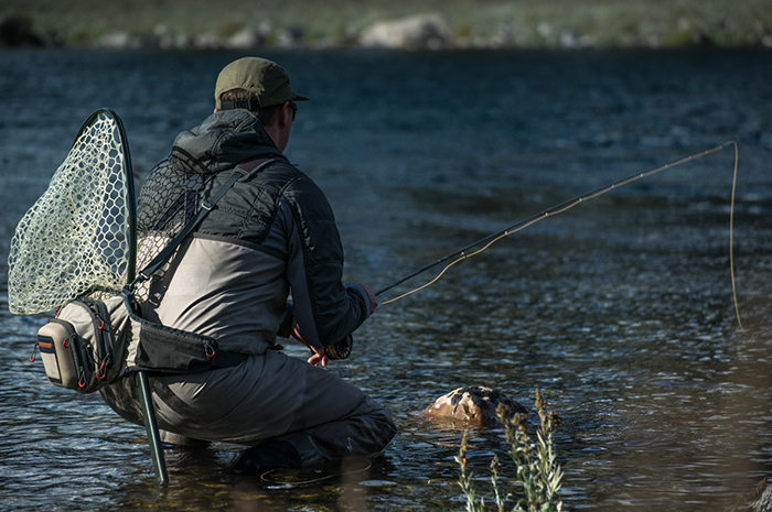 Fly fishing with dry flies for rising trout on the Spokane River during the fall.