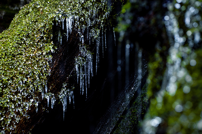 Frozen Water