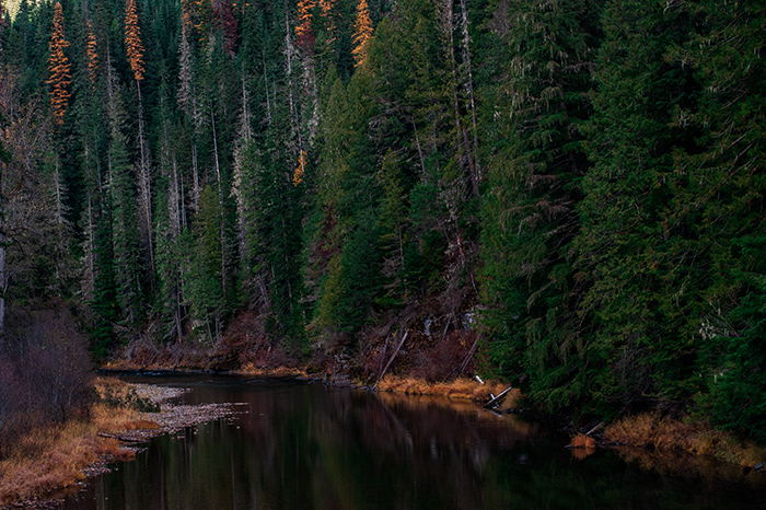 NF Coeur d'Alene River