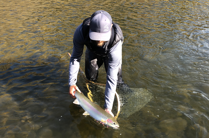 Kelby Braun releasing a guests Grande Ronde River steelhead.