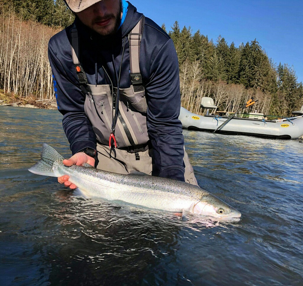 SKenyon Pitts with an Olympic Peninsula steelhead.