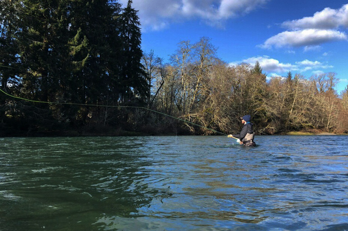 Kenyon Pitts hucking spey line while steelheading the Olympic Peninsula.