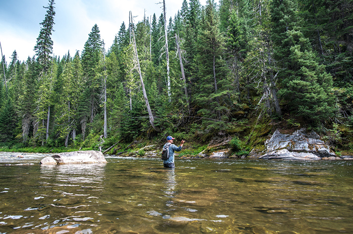 Fly fishing the Kelly Creek and North Fork Clearwater drainage in Idaho.