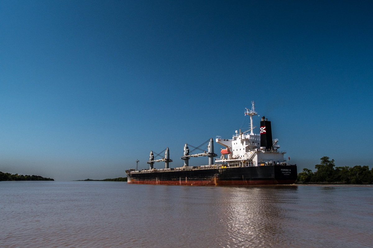 A large container ship headed downriver near Buenos Aires, urban conditions meet jungle fishing.
