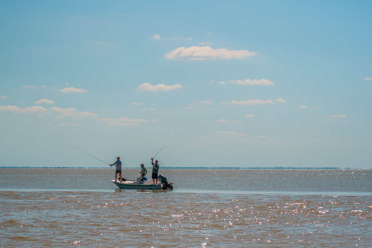 Anglers casting for golden dorado near Buenos Aires.