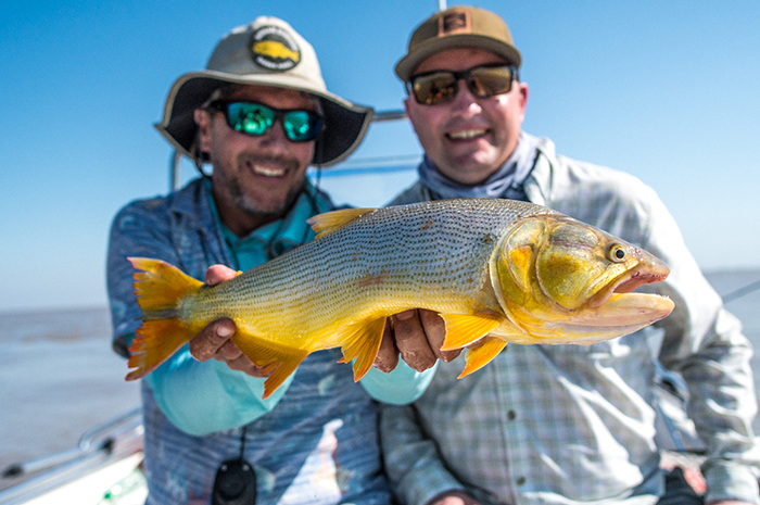 Oggy Fox of Urban Dorado Anglers with a great golden dorado with guest Aaron Banks of Spokane, Washington.