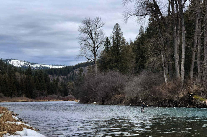 Kenyon Pitts from the Silver Bow Fly Shop in Spokane setting up the perfect drift on the St. Joe River, ID. Photo Credit - Jesse Retan