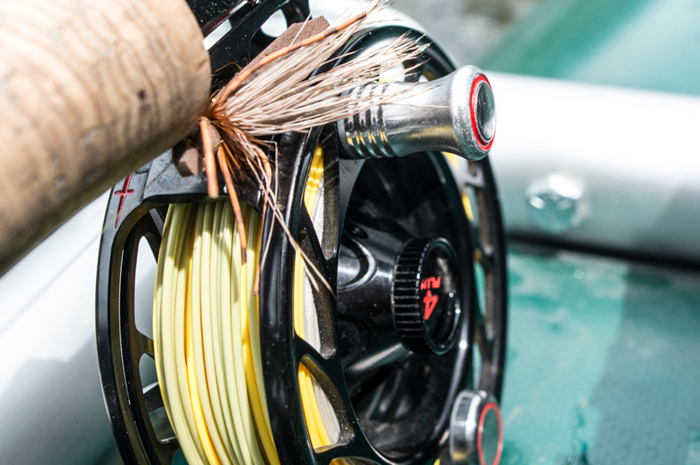 Testing the  New RIO Elite Gold Series Fly Line Featuring Slickcast and ConnectCore Plus Technology.