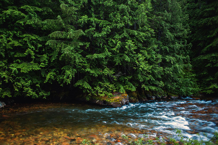 North Idaho Streams