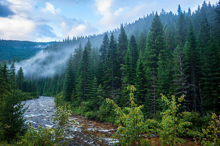 North Idaho Streams