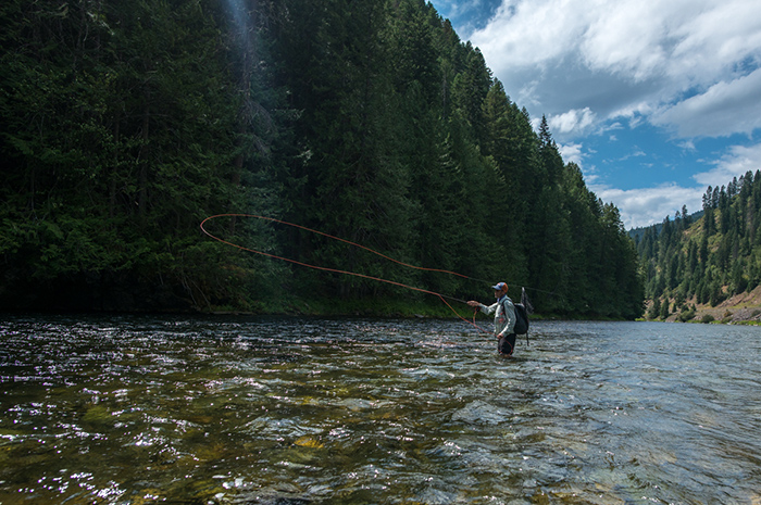 Michael Visintainer of the Silver Bow Fly Shop casting to cutthroat on the St. Joe River Idaho. 