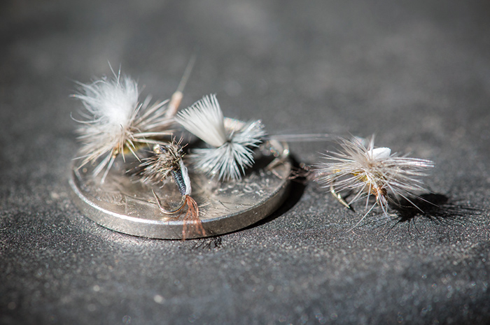 Small dry flies such as midges, tricos and baetis often fish well during late summer when streams are low and clear.