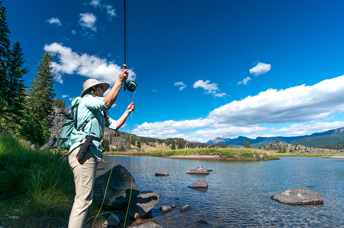 Testing the Scott Centric 905/4 fly rod on Slough Creek, Yellowstone National Park.